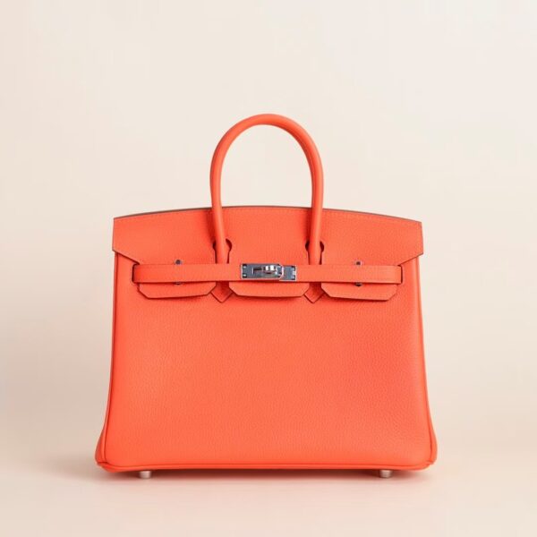 HERMÈS Birkin 25CM Togo Leather 9T Capucine PHW Hardware