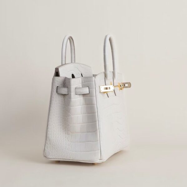 HERMÈS Birkin 25CM Bag Image Matte Alligator Crocodile Leather 8L Beton GHW Hardware