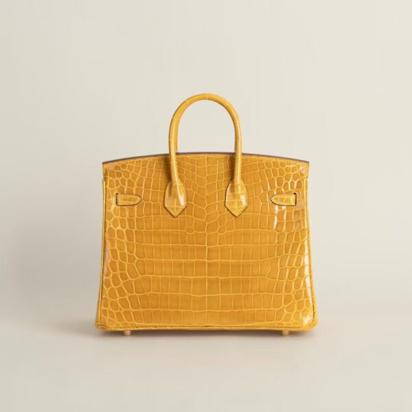 HERMÈS Birkin 25CM Shiny HCP Crocodile 9D Jaune Amber PHW Hardware