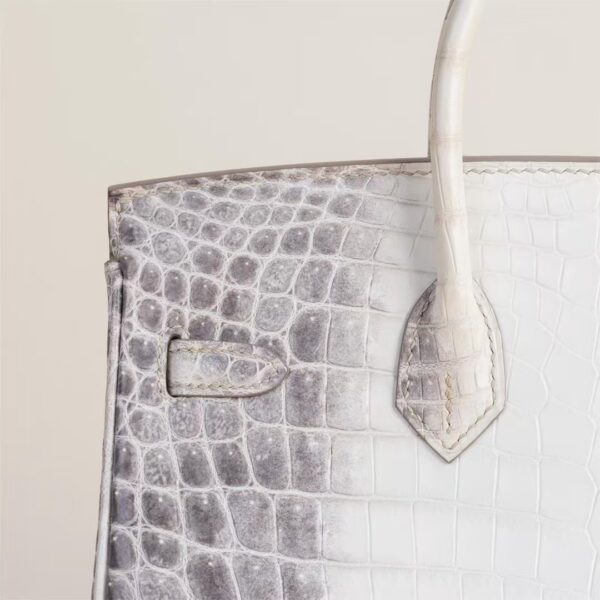 HERMÈS Birkin Himalaya Matte Alligator Crocodile 25CM Bag PHW Hardware