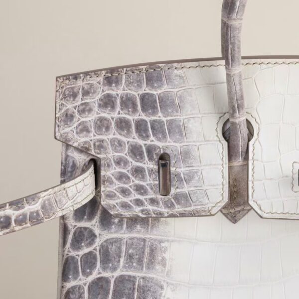 HERMÈS Birkin Himalaya Matte Alligator Crocodile 25CM Bag PHW Hardware