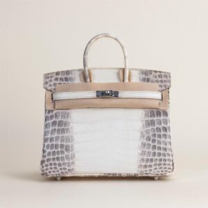 HERMÈS Birkin Himalaya Matte Alligator Crocodile 25CM Bag PHW Hardware